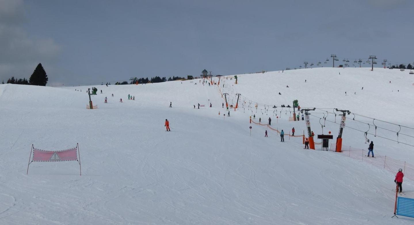 Dom wakacyjny Butterblume, Feldberg - Haus Wiesenquelle