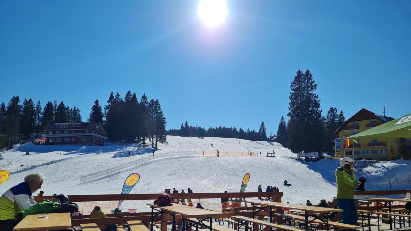 Butterblume, Feldberg - Haus Wiesenquelle Feldberg (Baden-Wurttemberg)