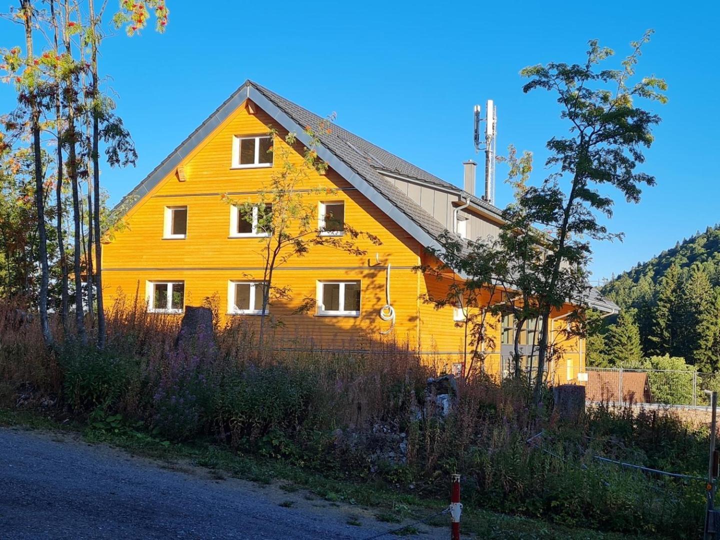 Butterblume, Feldberg - Haus Wiesenquelle