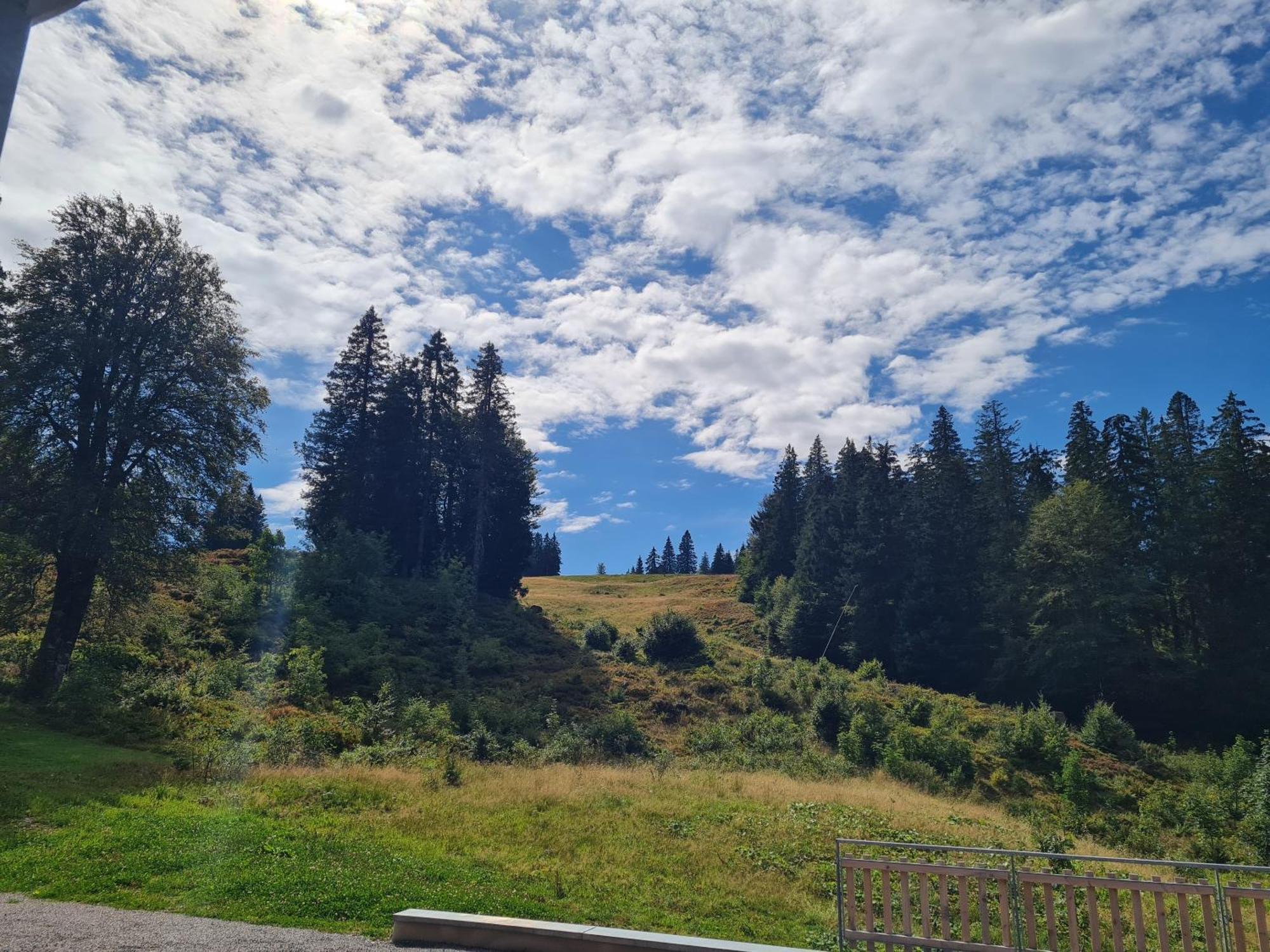Butterblume, Feldberg - Haus Wiesenquelle Dom wakacyjny