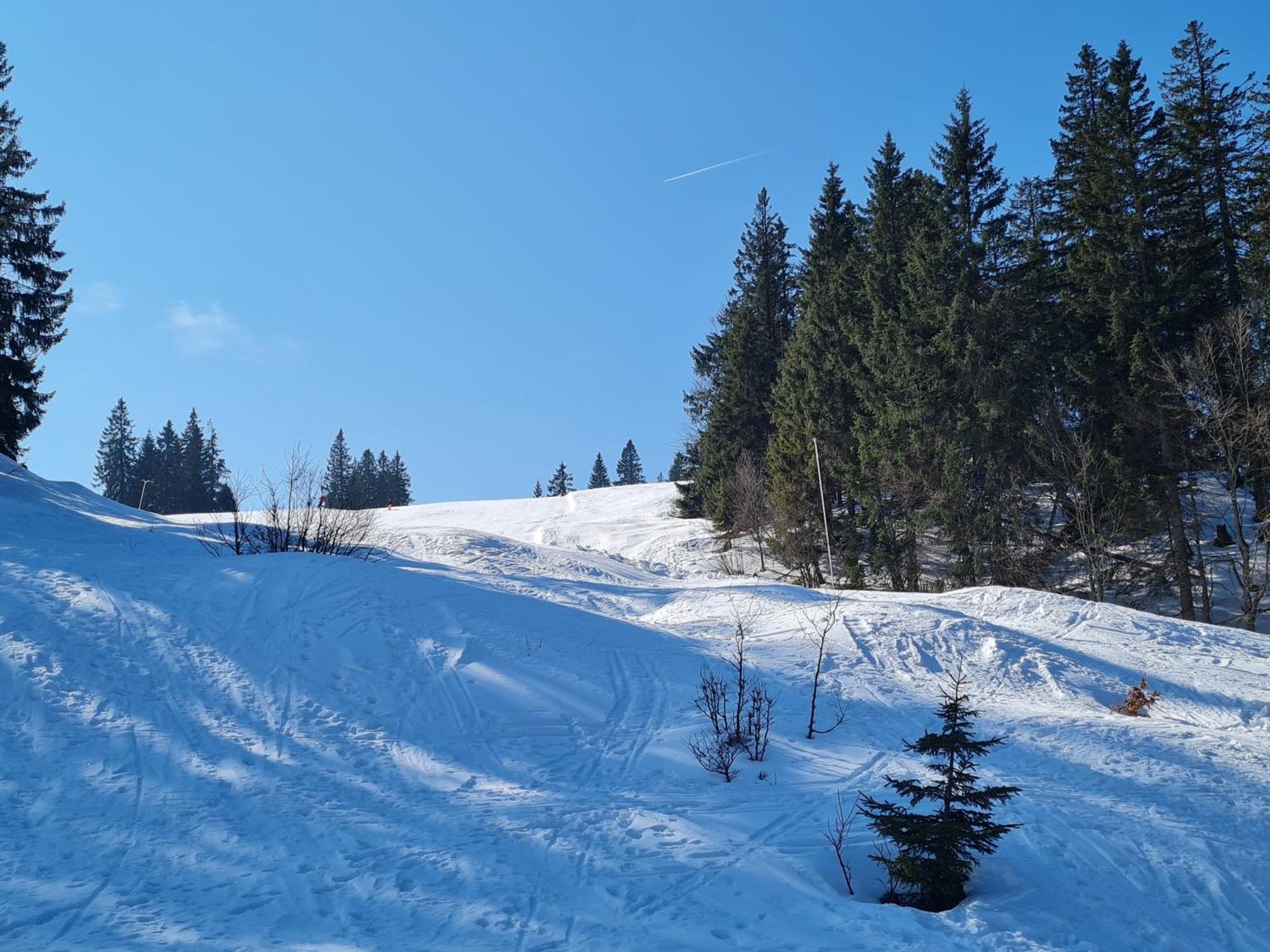Dom wakacyjny Butterblume, Feldberg - Haus Wiesenquelle